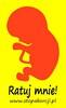 aborcja 6