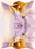 aniol-kobieta: 12