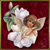 cherubinki: 24