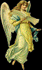 cherubinki: 37