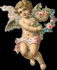 cherubinki: 47