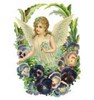 cherubinki: 60