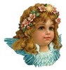 cherubinki: 81
