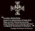 wykleci: 14