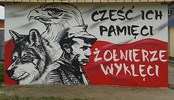 wykleci: 7
