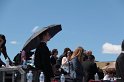 IMG_1447