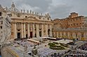 IMG_3347